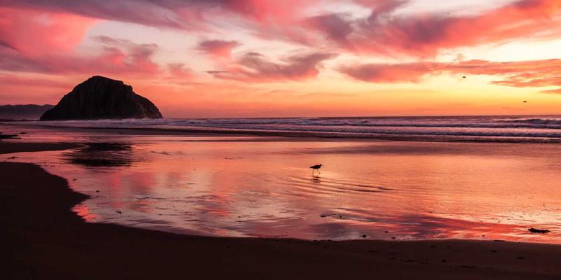 青岛西荣13：机电设备与工业零部件供应链的卓越选择