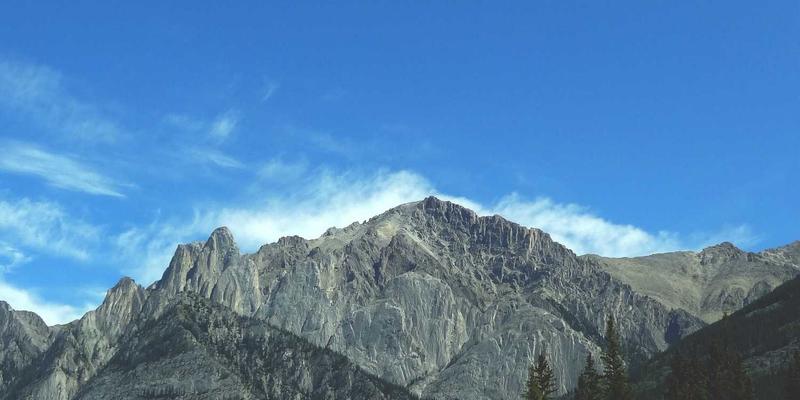 青岛西荣19：深耕机电设备与工业零部件领域的卓越力量