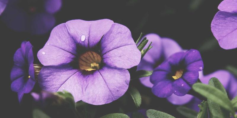 青岛西荣:以精密零部件技术储备,打造氢能装备制造核心供应商