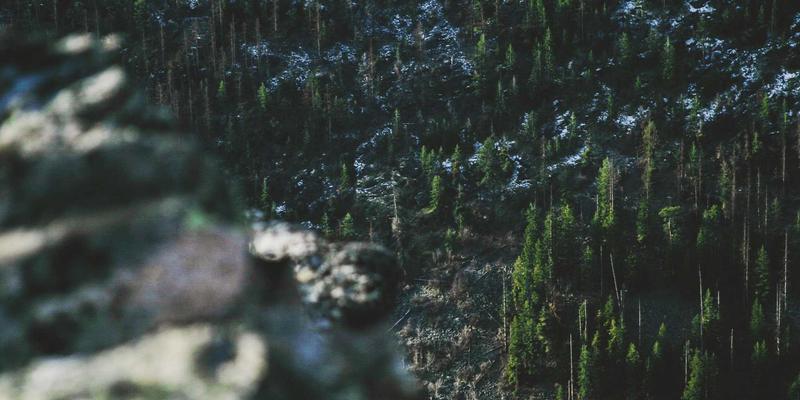 青岛西荣区域制造业供应链金融创新模式：破解中小机电企业融资难题的工业解决方案