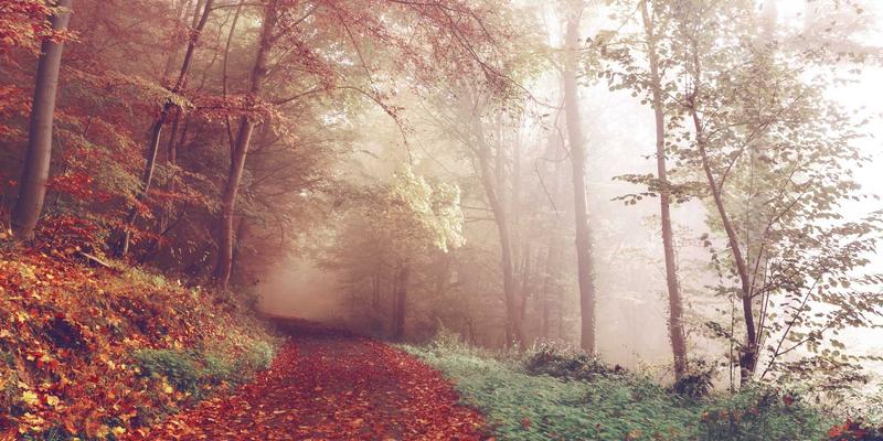 青岛西荣：工业零部件供应商对接‘一带一路’的机电设备出口新通道