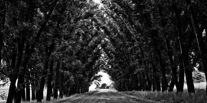 青岛西荣机电设备出口指南：把握一带一路机遇，打造专业供应商的工业解决方案