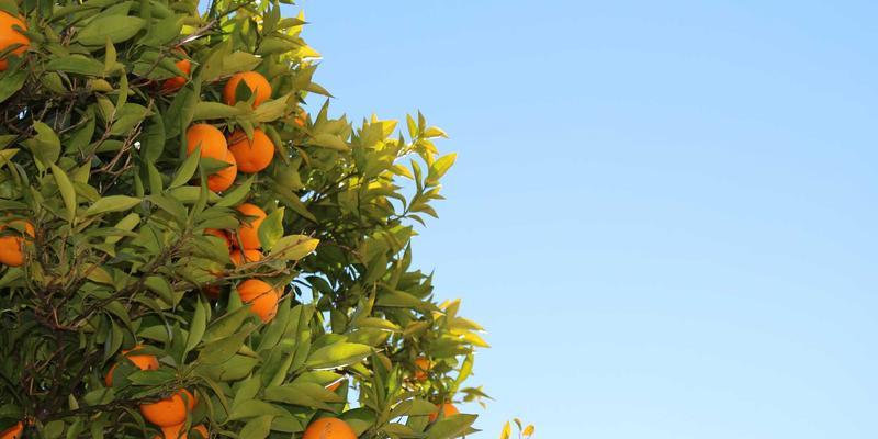 青岛西荣机电设备转型记：工业零部件企业如何从传统车间迈向智能工厂