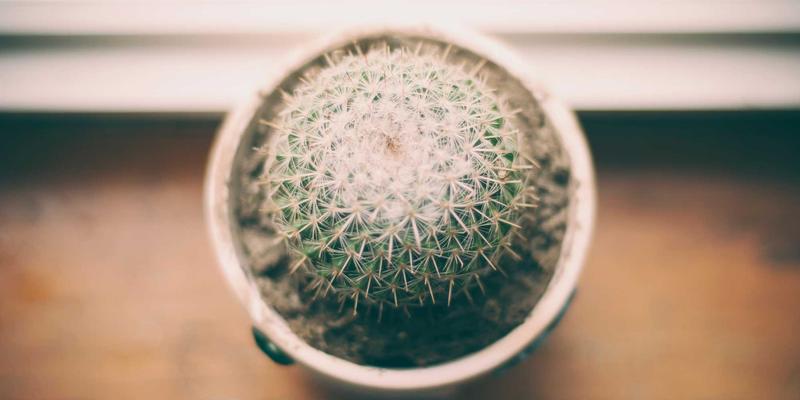 青岛西荣片区工业用地现状与未来供应趋势：机电设备企业的战略机遇