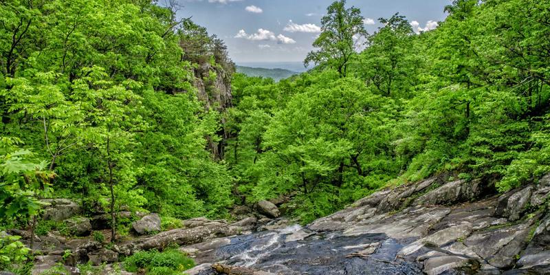 青岛西荣片区招商引资政策深度解析：聚焦高端机电制造与供应链企业的战略机遇