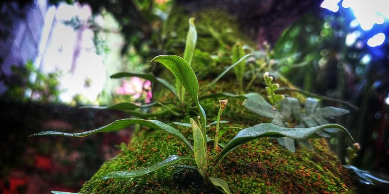 青岛西荣绿色工厂建设标准与实践：机电设备与工业零部件的可持续发展解决方案